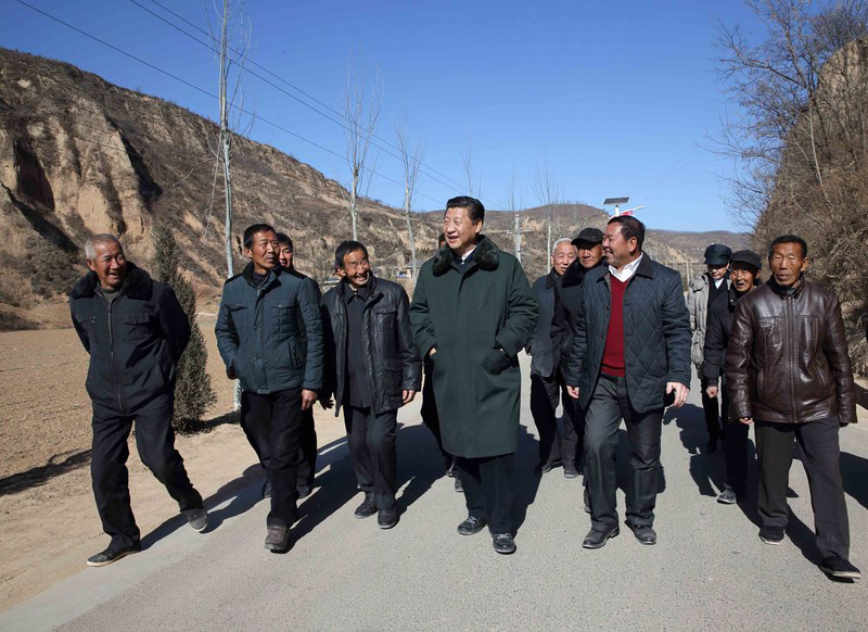 特稿:新征程领路人习近平