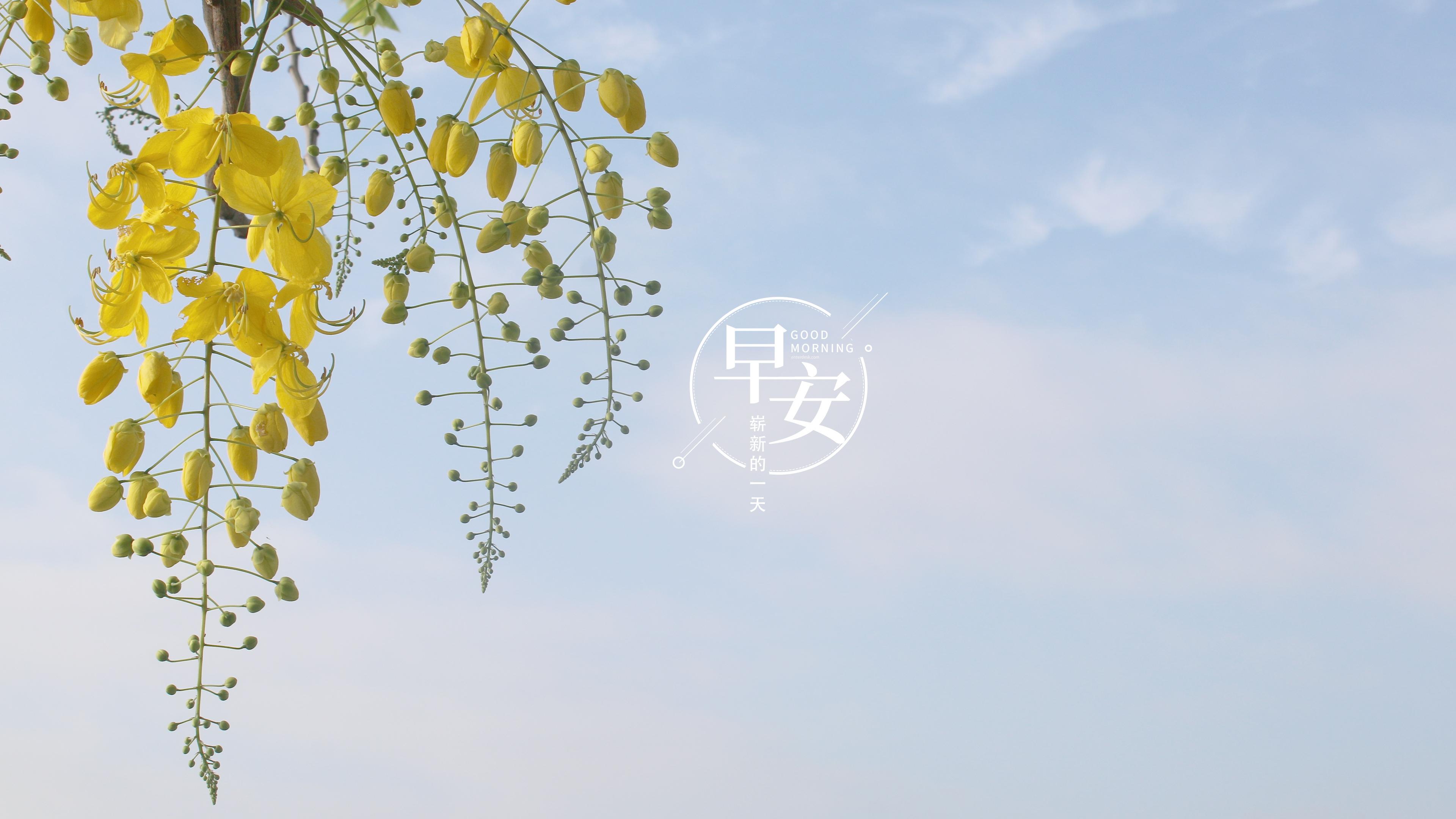 生活不会时时厚待我们，会有挫折，会有失败。但聪明的人，总会朝着美好努力奔跑：珍惜当下，善于思考，学会宽容，也懂得行动的重要。愿我们都能活成自己喜欢的模样。新的一天，早安。