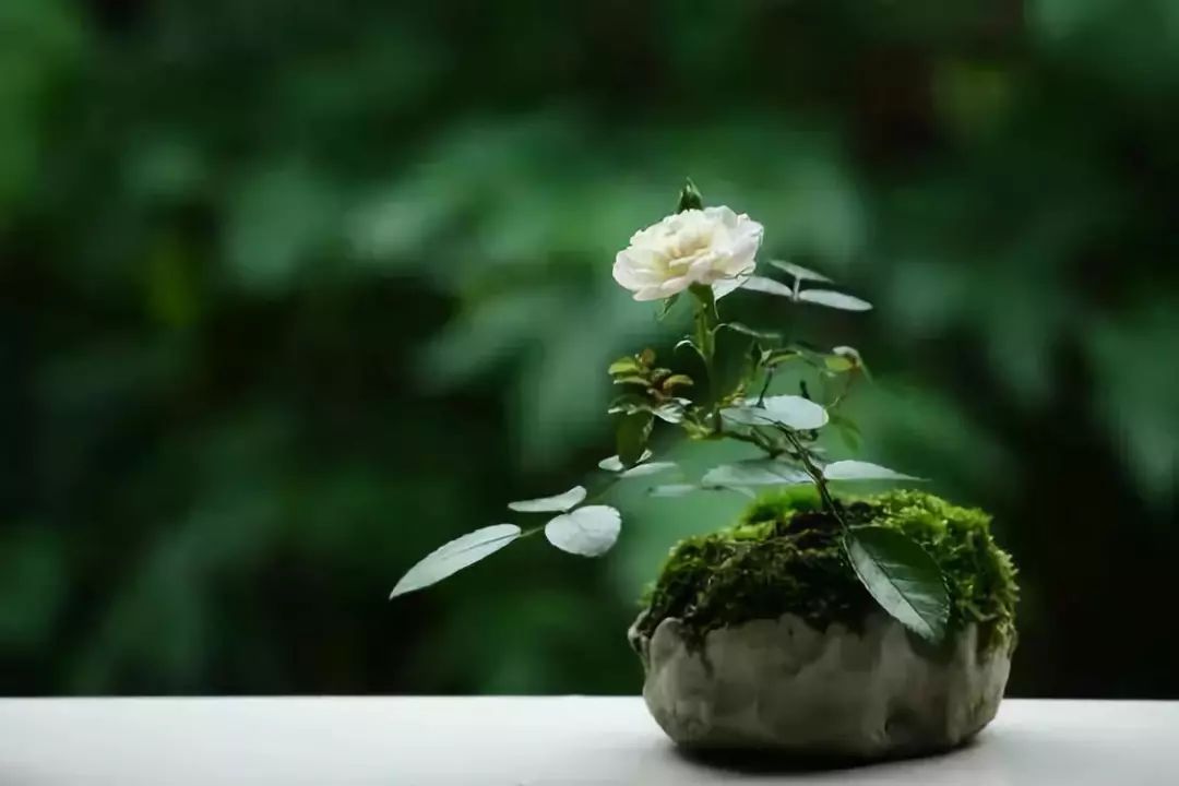 一个人赢得尊重的四种方式