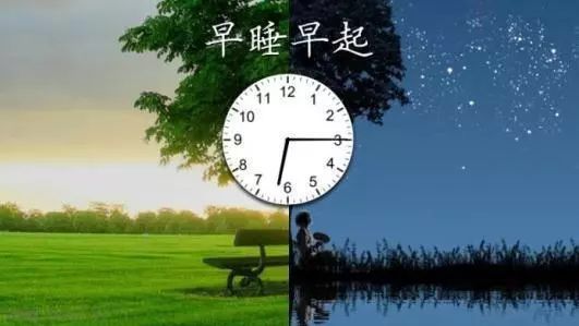 读书、运动、早睡，是性价比最高的投资