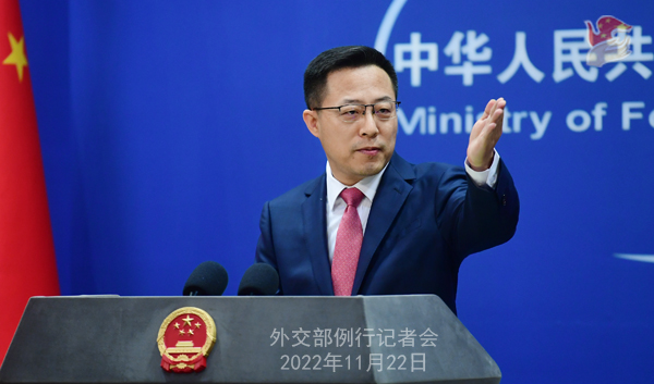 外交部就第6届中国—南亚博览会成果等答问