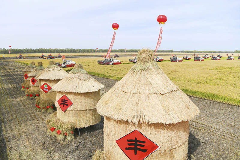 在金秋中收获希望——黑龙江“十九连丰”秋收扫描