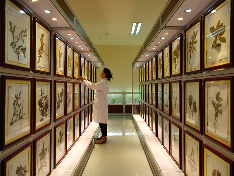 通向人与自然和谐共生美好未来的新起点——写在《生物多样性公约》第十五次缔约方大会第二阶段会议闭幕之际