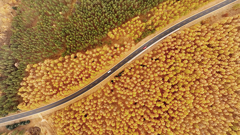 万物并育和合生——中国积极推动全球生物多样性治理进程
