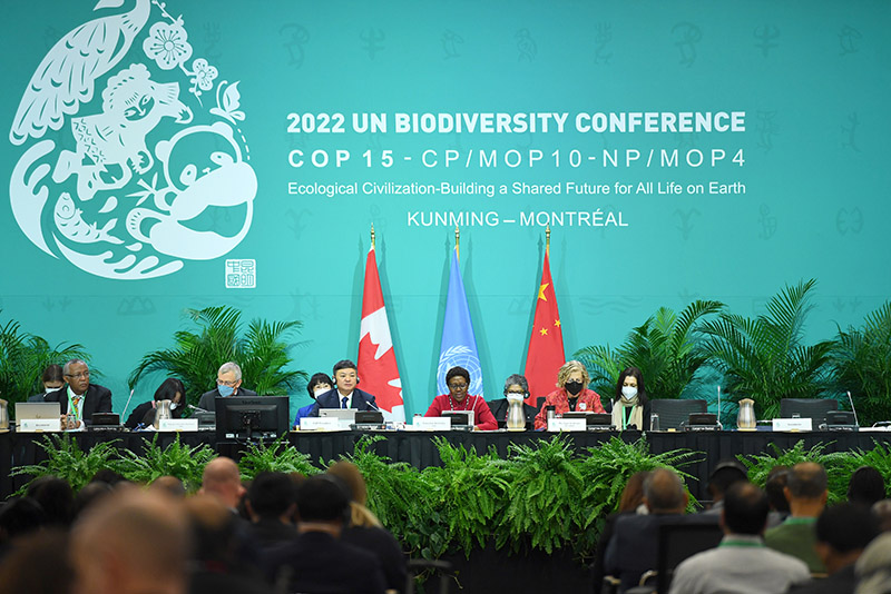 万物并育和合生——中国积极推动全球生物多样性治理进程