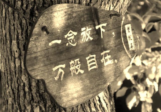 自在生活的8个建议