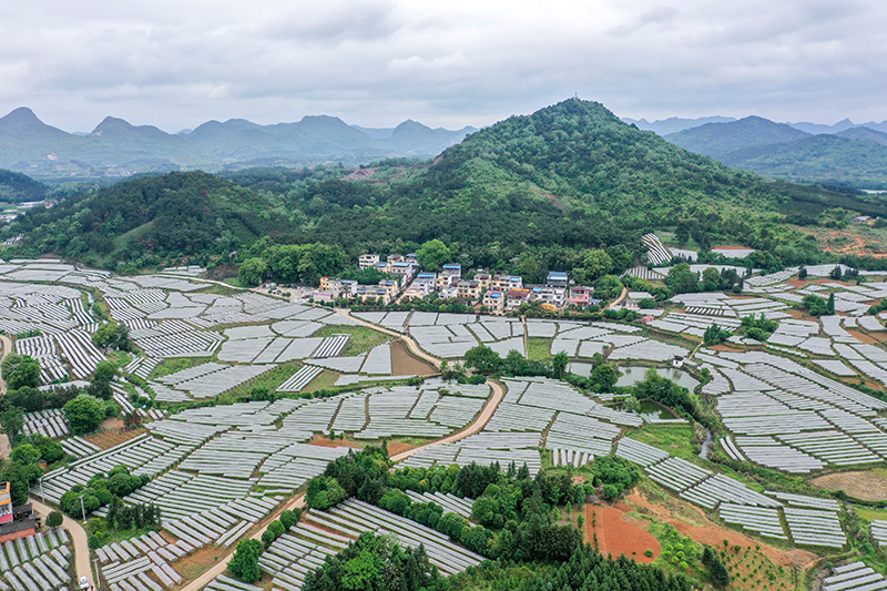 人民江山