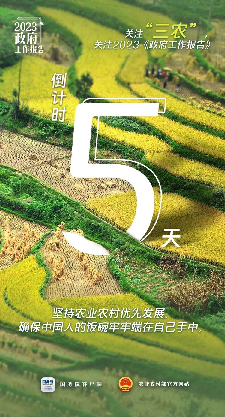 倒计时5天！