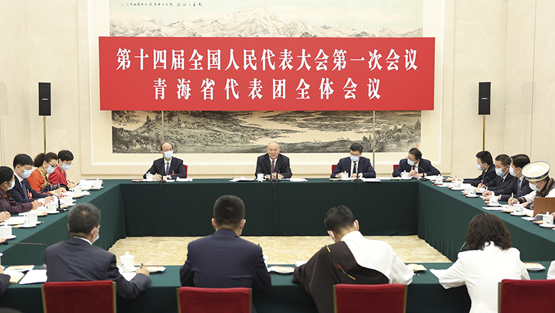 蔡奇参加青海代表团审议