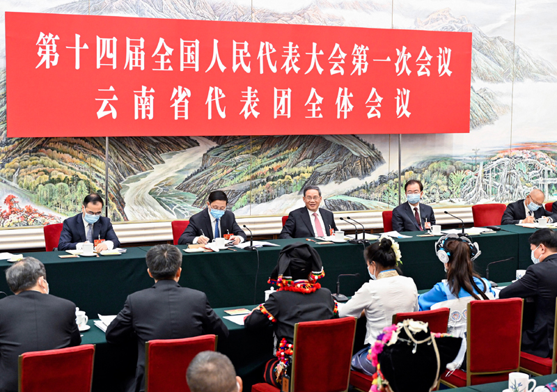 李强参加云南代表团审议