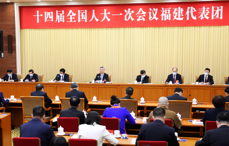 李希参加福建代表团审议
