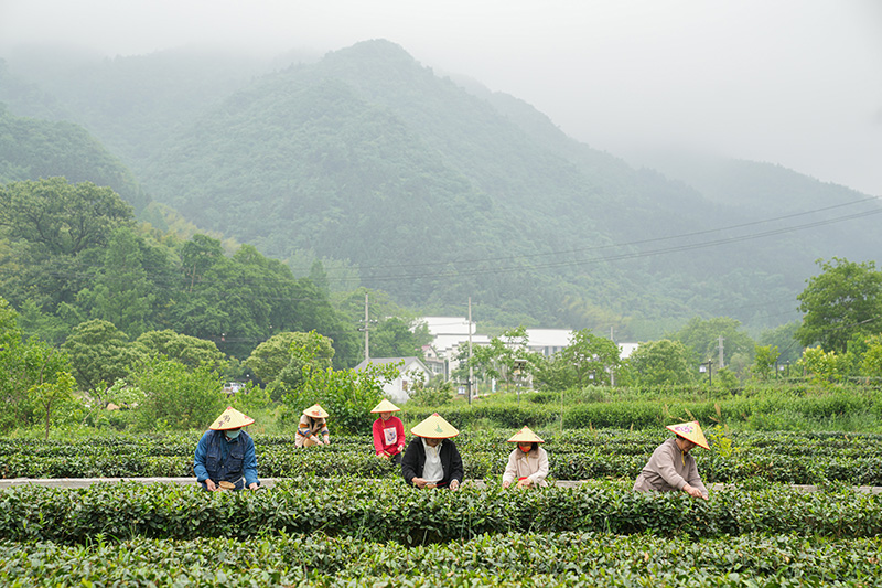 在民族复兴的康庄大道上勇毅前行——代表委员共话推进中国式现代化