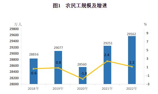 2022年农民工监测调查报告
