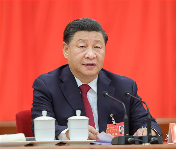 Xi Jinping elected general secretary of CPC Central Committee: communique