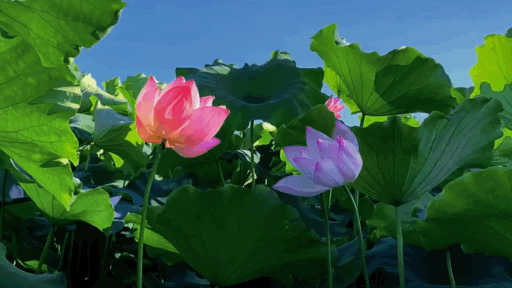 入夏的仪式感，就藏在这6件小事里