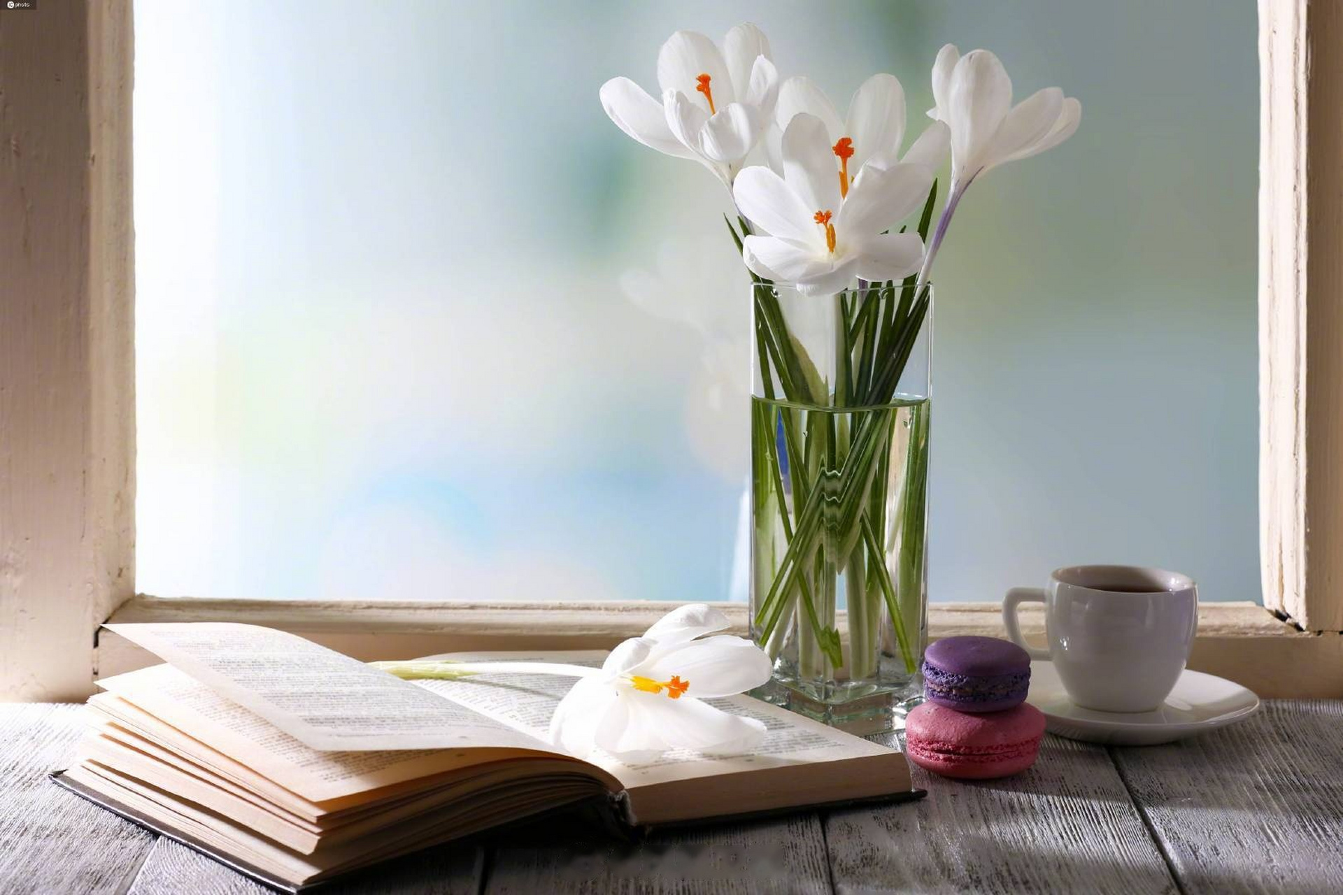 生活是讲究节奏的。该奋起直追时,就全力以赴;该养精蓄锐时,就从容休养。流流汗,休息时更加惬意;歇歇脚,再出发精神百倍。周末,早安!