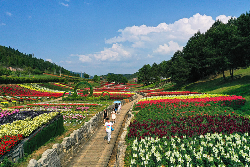 5.jpg 贵州麻江:以花为“媒”激活乡村旅游