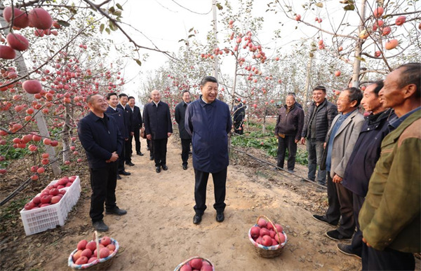Xi stresses advancing rural revitalization in inspections to Shaanxi, Henan
