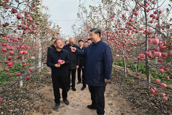Xi stresses advancing rural revitalization in inspections to Shaanxi, Henan