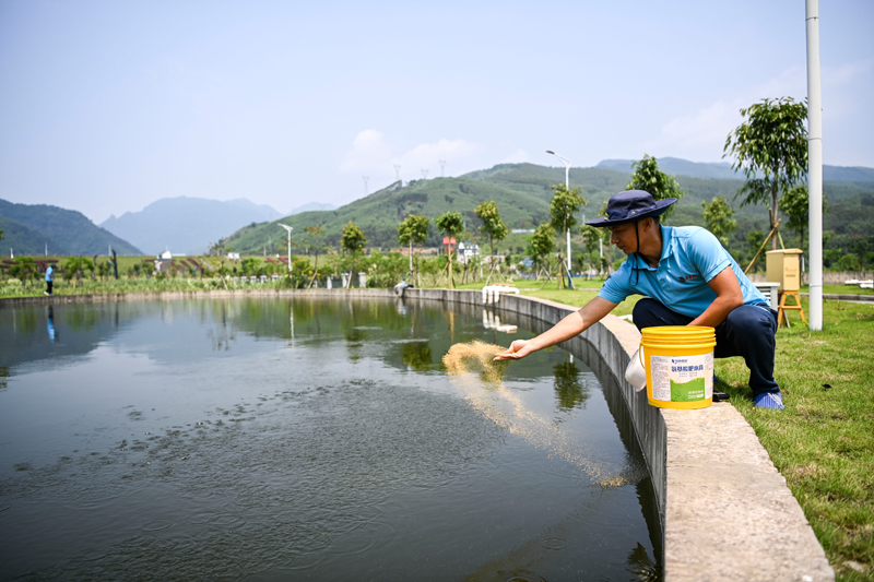 026.jpg 广西大藤峡水利枢纽科研团队助力保护珠江流域水生生物多样性