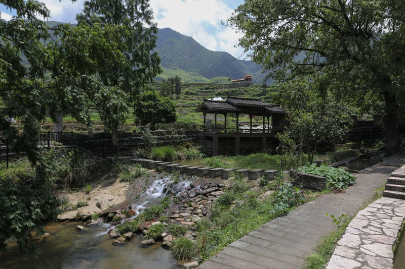 高质量发展调研行 | 浙江：深化“千万工程” 建设未来乡村