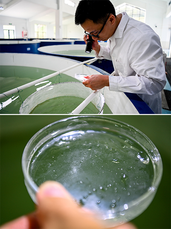 023.jpg 广西大藤峡水利枢纽科研团队助力保护珠江流域水生生物多样性