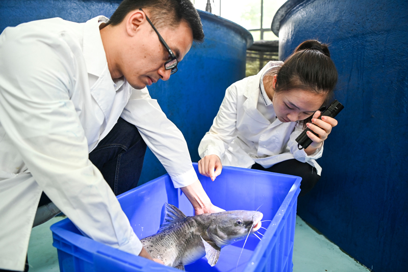 024.jpg 广西大藤峡水利枢纽科研团队助力保护珠江流域水生生物多样性