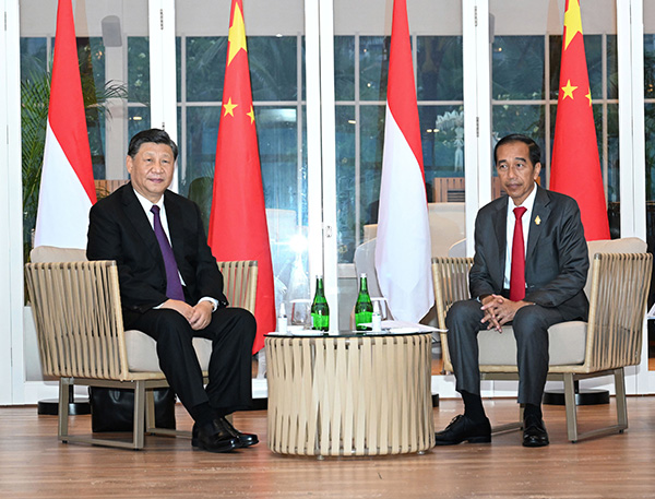 China, Indonesia agree on building China-Indonesia community with a shared future
