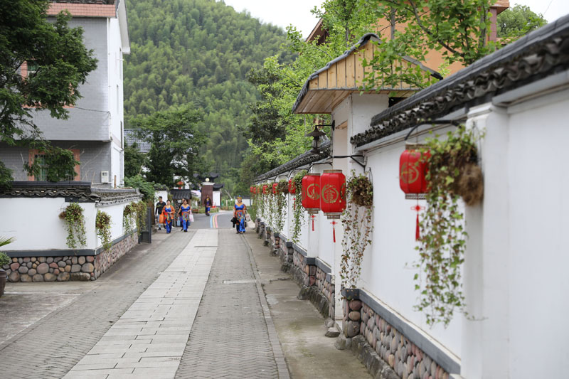 高质量发展调研行 | 浙江：深化“千万工程” 建设未来乡村