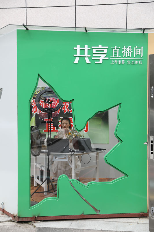 高质量发展调研行 | 浙江：深化“千万工程” 建设未来乡村
