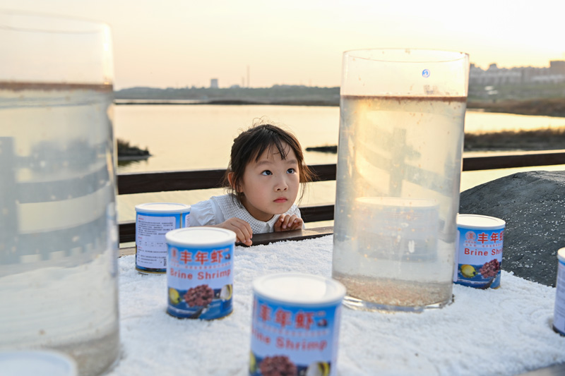 感受运城盐湖魅力