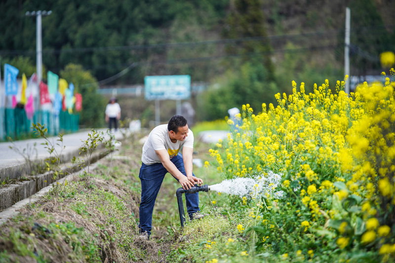 浇好"第一桶"丰收水——农村水网夯实粮食安全后盾