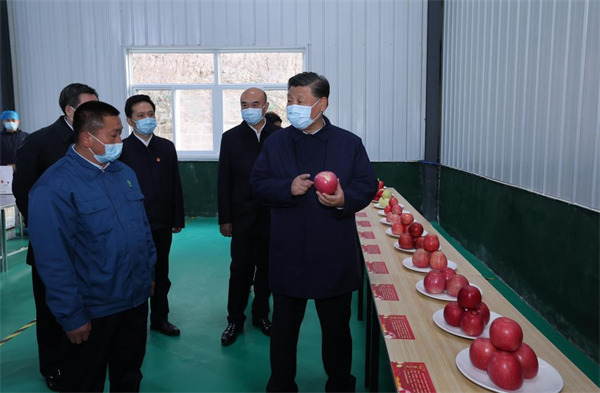Xi stresses advancing rural revitalization in inspections to Shaanxi, Henan