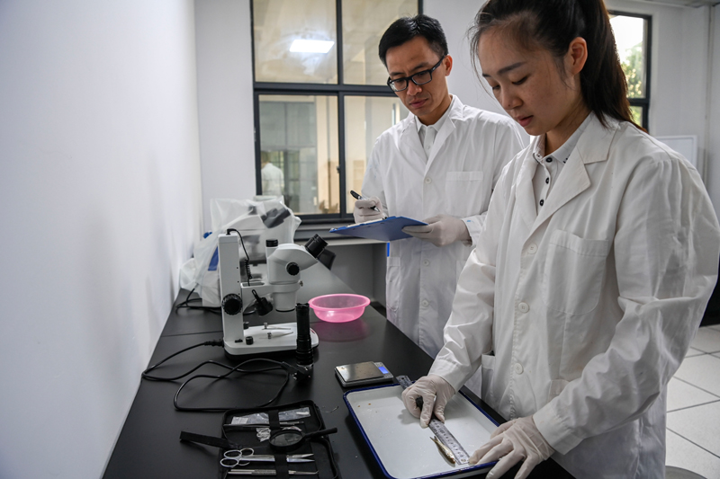 030.jpg 广西大藤峡水利枢纽科研团队助力保护珠江流域水生生物多样性