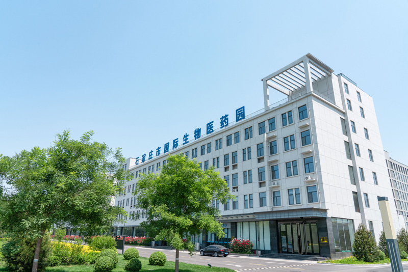 努力成为中国式现代化建设的先行区示范区——习近平总书记考察雄安新区建设、京津冀协同发展并主持召开座谈会纪实