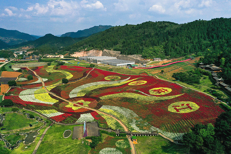 8.jpg 贵州麻江:以花为“媒”激活乡村旅游