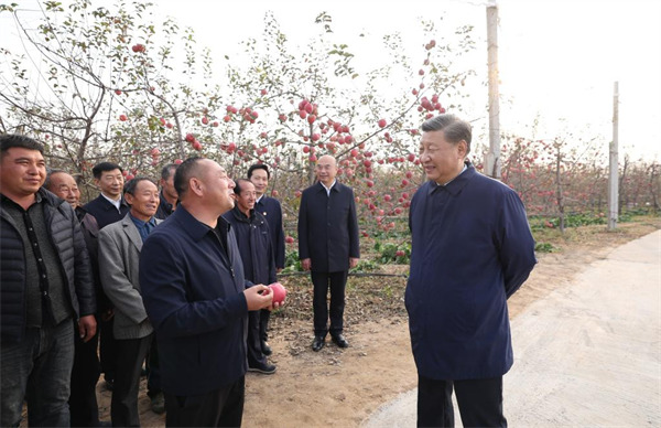 Xi stresses advancing rural revitalization in inspections to Shaanxi, Henan