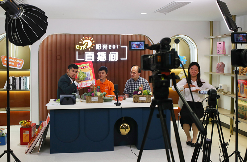 上海：“阳光201”残疾人就业服务综合平台升级改造后启用