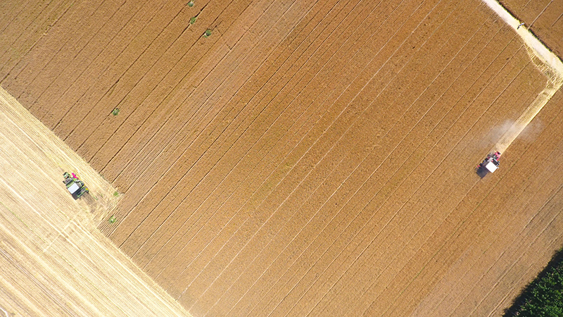 全国“三夏”麦收进度过半