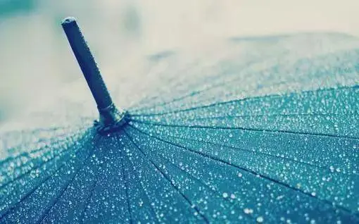 你无法决定明天是晴是雨，但你能决定今天有没有准备好雨伞；你无法预知未来能得到什么，但你能决定今天是否努力。胡思乱想少一点，脚踏实地多一些，多一点付出，就会距离你想要的生活更近一步。早安！