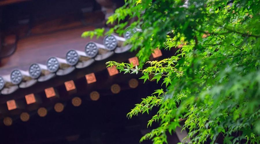 无论什么年纪，只有不断提升自己，精神世界才会充实丰盈，眼界才会愈加开阔，也才能更有底气、更加从容地面对人生。你是什么样子，完全取决于你自己。保持学习、不断提升，是给生活最好的回馈。新的一天，早安。 
