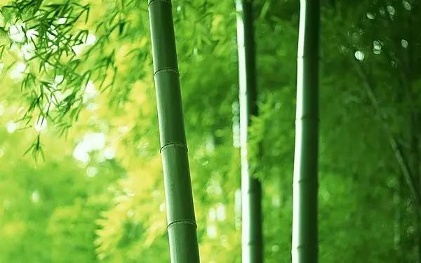 幸福其实很简单，摒除杂念，方能不为外物所累；专注所爱，就会离目标越来越近。自信从容的人，都懂得排除干扰、坚定向前。把焦点放在真正重要的事情上，才有机会触摸到想要的生活。早安！