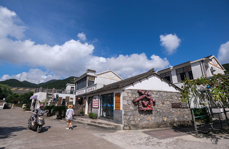 “千万工程”调研行 | 造就万千美丽乡村 造福万千农民群众——“千万工程”二十年启示录