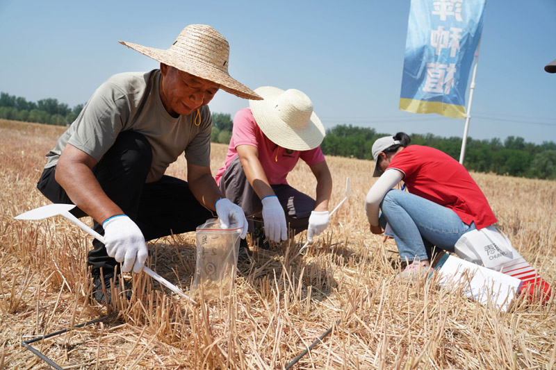 2023年北京市小麦机收减损技能大比武举行