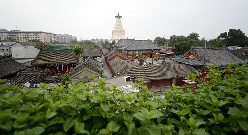 以习近平同志为核心的党中央引领中华文化创造性转化创新性发展纪实