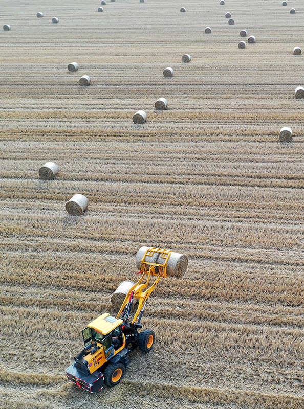 小麦丰收 秸秆回收