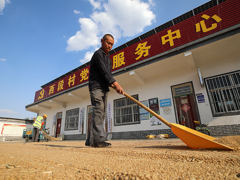 河南安阳：“腾地晒粮”解决群众“急难愁盼”