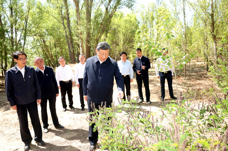 习近平在内蒙古巴彦淖尔考察并主持召开加强荒漠化综合防治和推进“三北”等重点生态工程建设座谈会