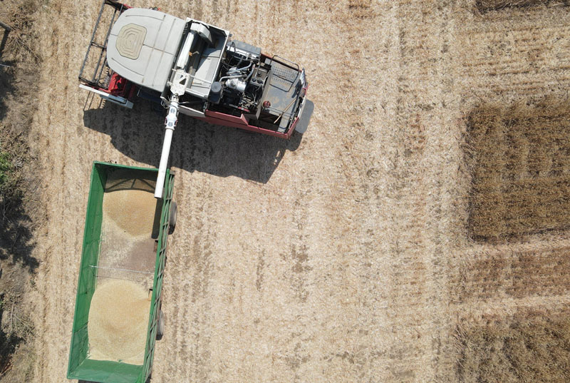 2023年北京市小麦机收减损技能大比武举行