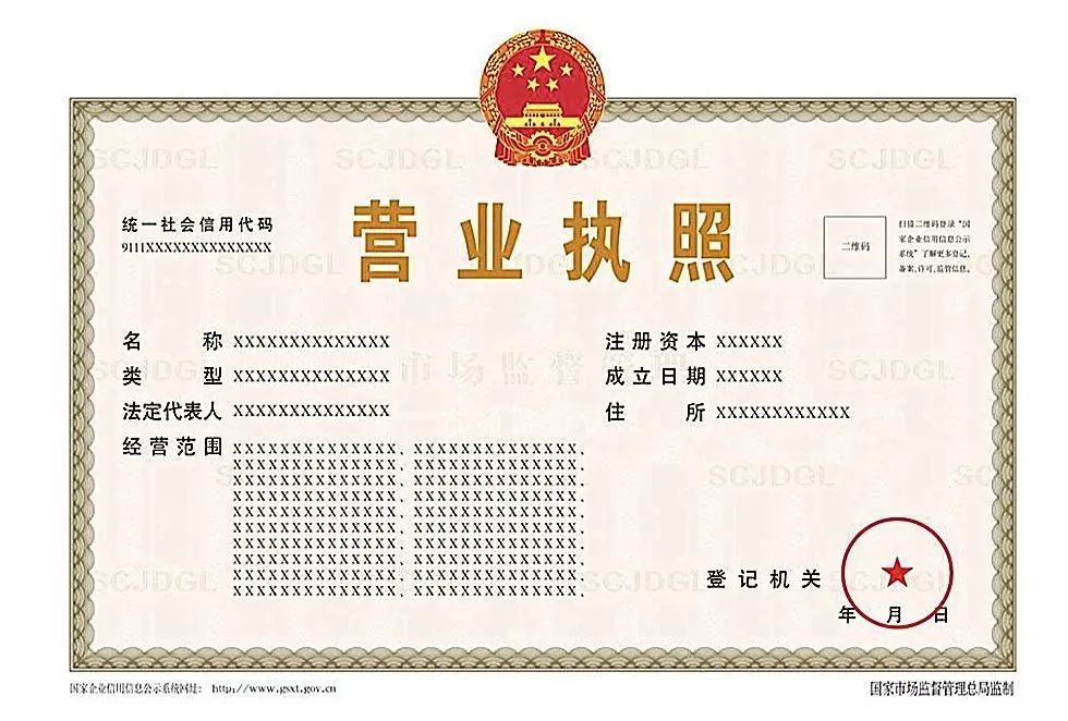 办税、查信用、下载电子营业执照……利企服务一手“掌”握！